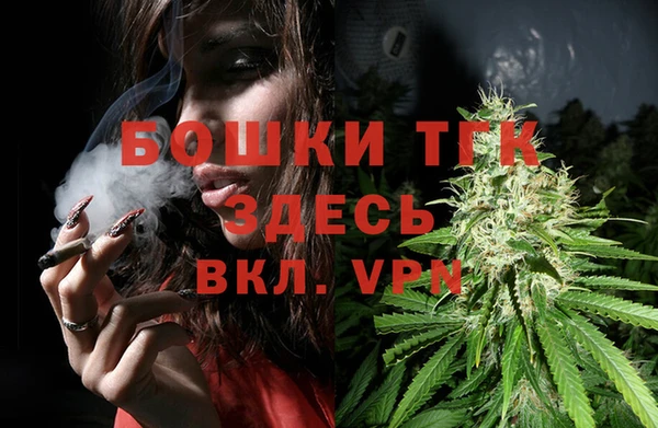 mdpv Бородино