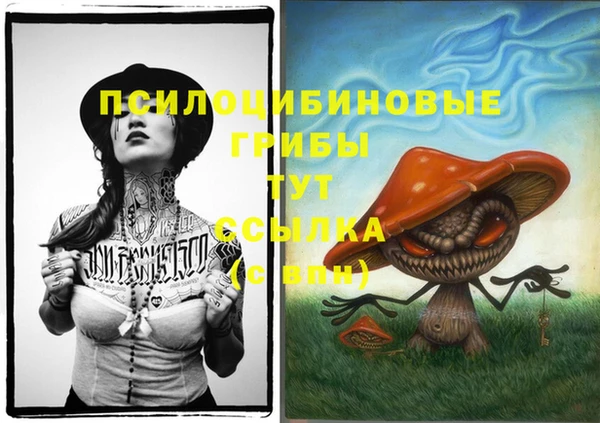 трава Бронницы