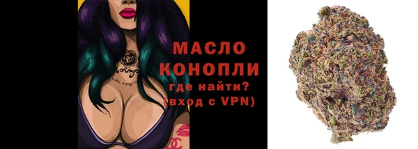 mdpv Бородино
