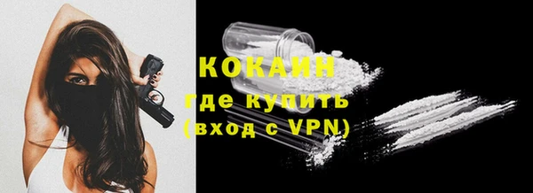 mdpv Бородино