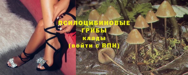 трава Бронницы