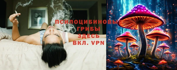 трава Бронницы