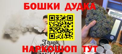 МДПВ Бийск