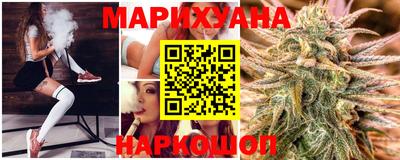 МДПВ Бийск