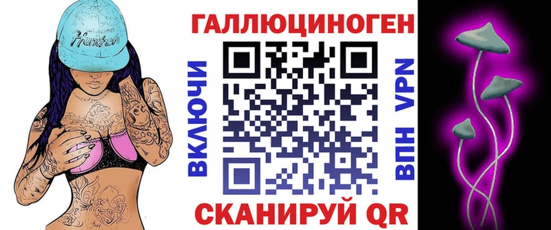 Галлюциногенные грибы Psilocybe  гидра как зайти  Вязники  даркнет сайт 