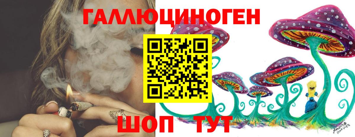 Псилоцибиновые грибы Cubensis  где купить наркотик  Вязники  Вход с VPN  Псилоцибиновые грибы мицелий 